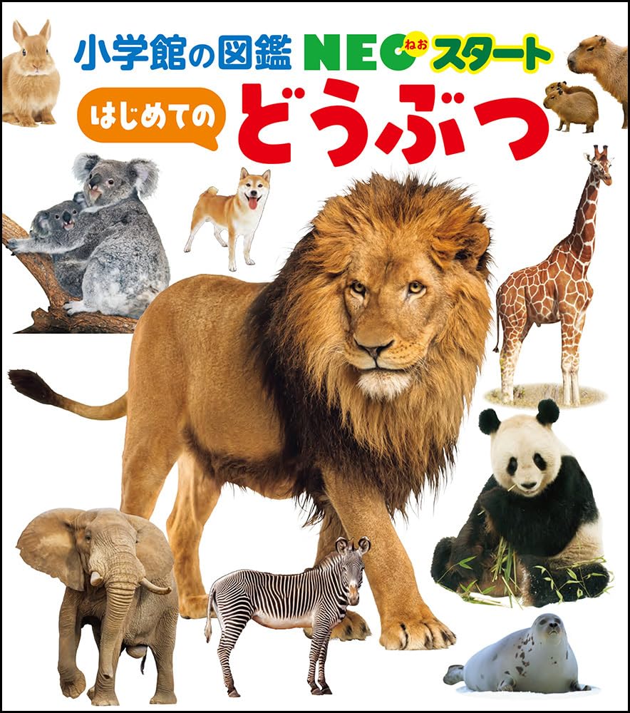 Amazon.co.jp: NEOスタート はじめての どうぶつ : 田島 木綿子